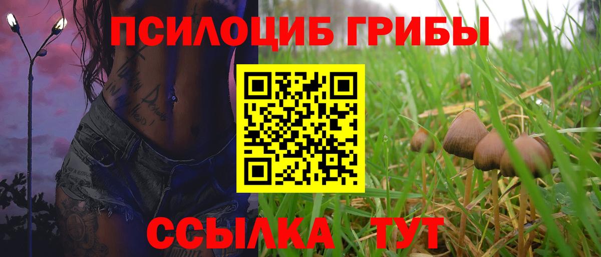 Галлюциногенные грибы Psilocybe Волжск